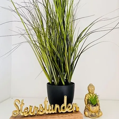 Apartament Stever-aue